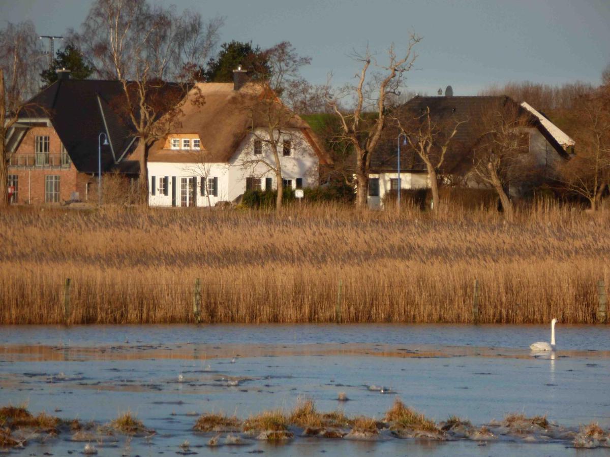 Appartamento Reetdachhaus Am Bodden Middelhagen Esterno foto